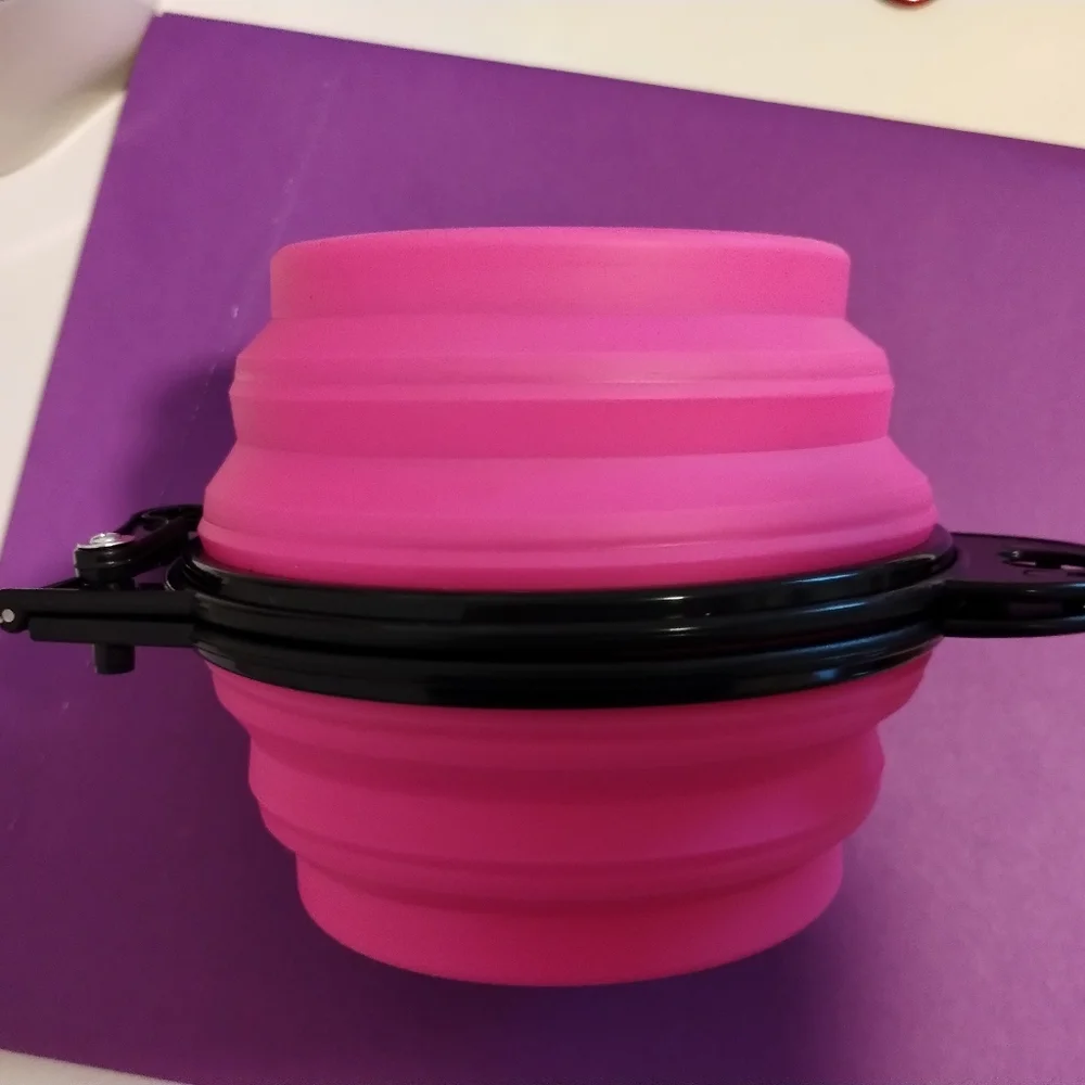 Collapsible double pet bowl